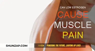 Estrogen and Muscle Pain: What's the Link?