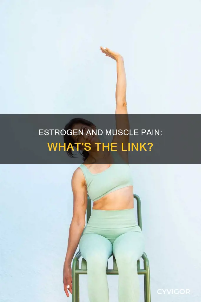 can low estrogen cause muscle pain