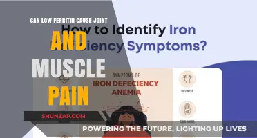 Ferritin Deficiency: Joint and Muscle Pain Connection