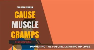 Ferritin, Muscle Cramps, and You: What's the Link?