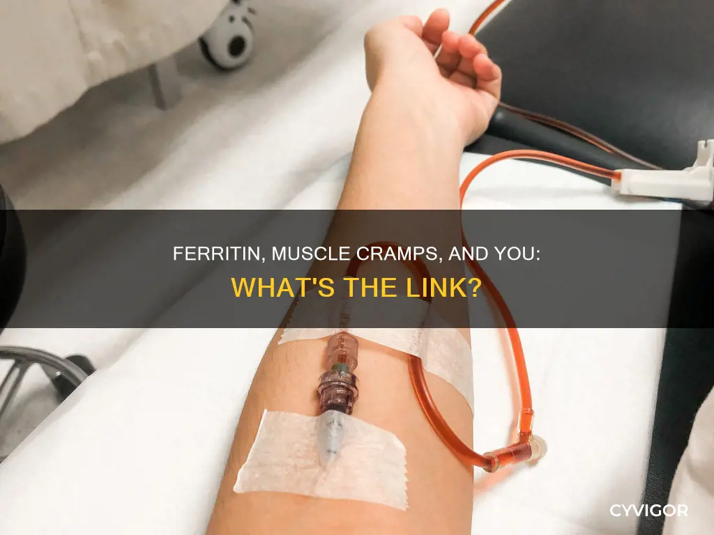can low ferritin cause muscle cramps