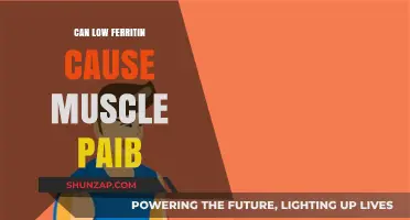 Ferritin, Muscle Pain, and You