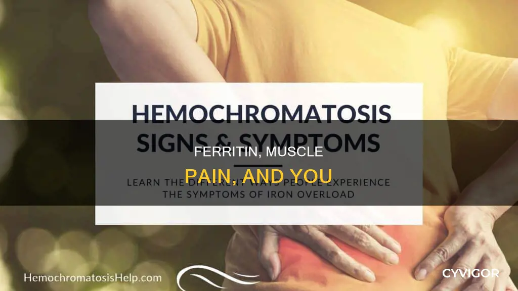 can low ferritin cause muscle paib