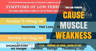Ferritin, Muscle Weakness, and You