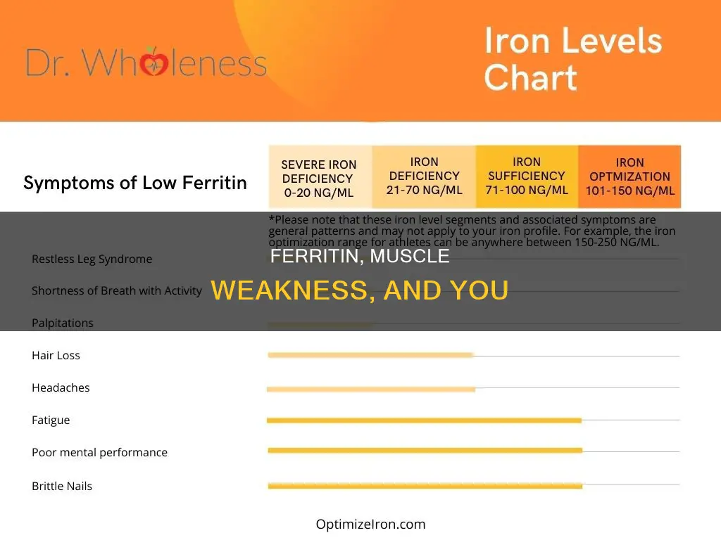 can low ferritin cause muscle weakness