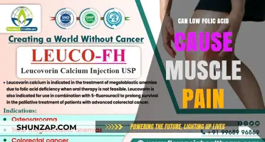 Folic Acid Deficiency: Muscle Pain and More