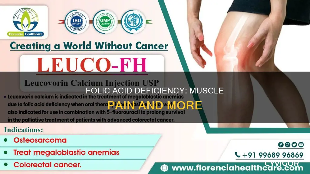 can low folic acid cause muscle pain