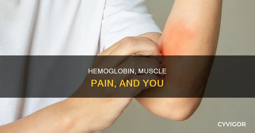 can low hemoglobin cause muscle pain