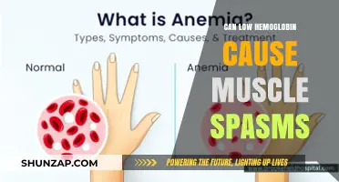 Iron Deficiency and Muscle Spasms: Is There a Link?