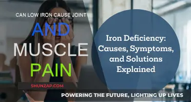 Iron Deficiency: Joint and Muscle Pain Connection