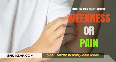 Iron Deficiency: Muscle Weakness and Pain Explained