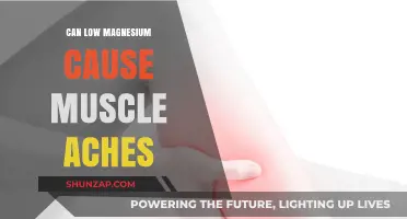 Magnesium Deficiency: Understanding the Link to Muscle Aches