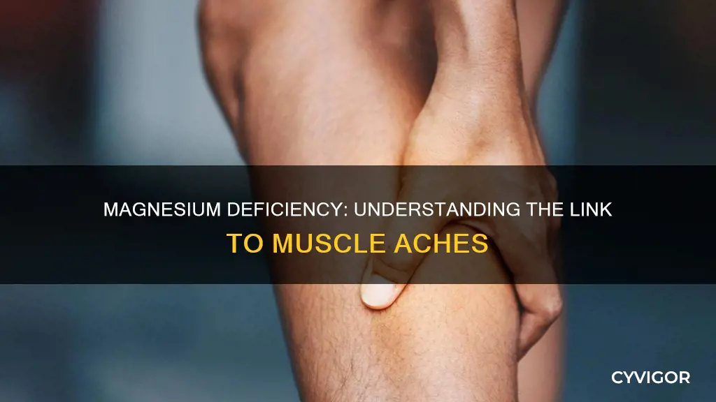 can low magnesium cause muscle aches