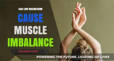 Magnesium Deficiency: Muscle Imbalance and You