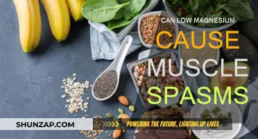 Magnesium Deficiency: The Cause of Your Muscle Spasms?