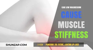Magnesium Deficiency: A Cause of Muscle Stiffness?