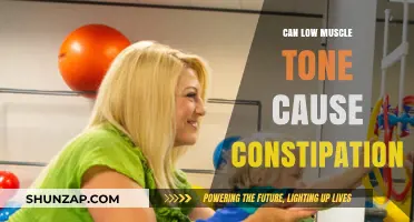Muscle Tone and Constipation: Is There a Link?