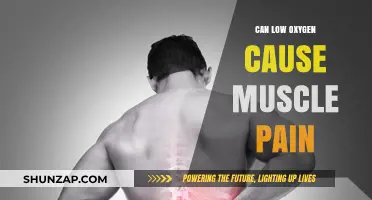 Oxygen Deprivation: The Link to Muscle Pain