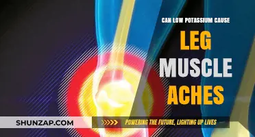 Leg Muscle Aches: The Potassium Connection