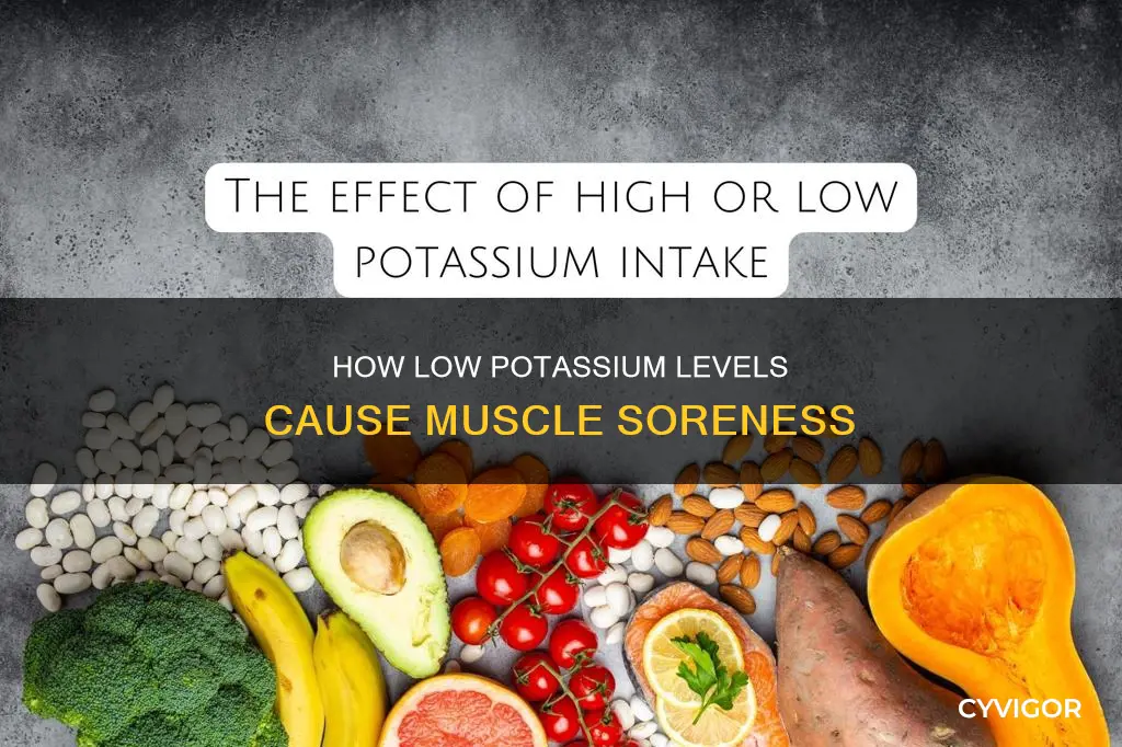 can low potassium cause muscle soreness