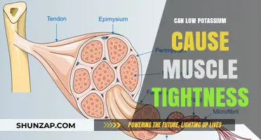 Low Potassium and Muscle Tightness: What's the Link?