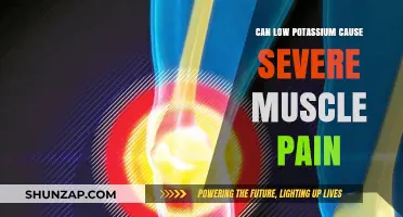 Muscle Pain and Potassium: What's the Link?