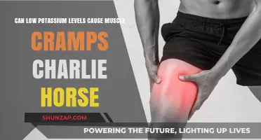 Potassium Deficiency: Charlie Horses and Muscle Cramps
