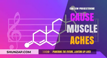 Low Progesterone: Is It Behind Your Muscle Aches?