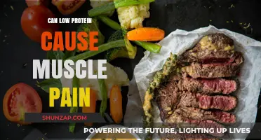 Protein Deficiency: The Cause of Your Muscle Pain?