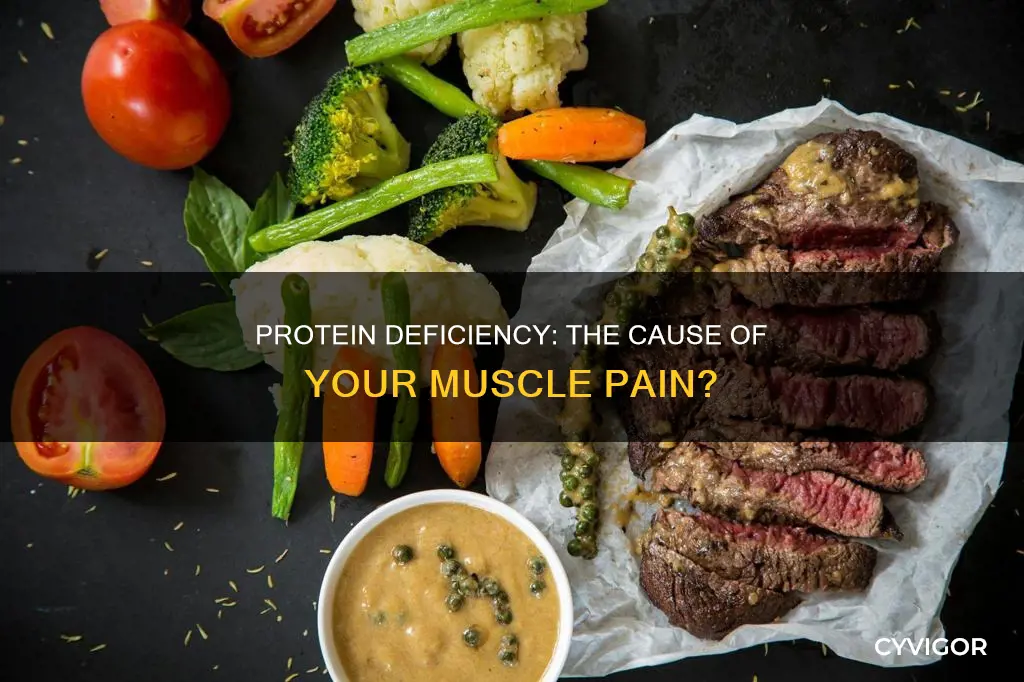 can low protein cause muscle pain