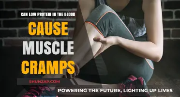 Protein Deficiency: Muscle Cramps and Blood Composition