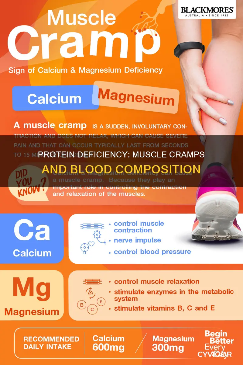 can low protein in the blood cause muscle cramps
