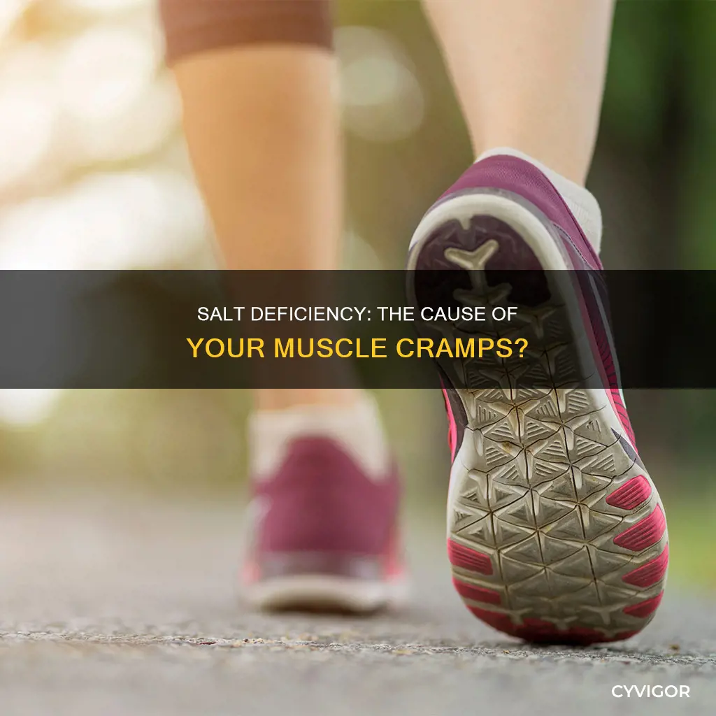 can low salt cause muscle cramps