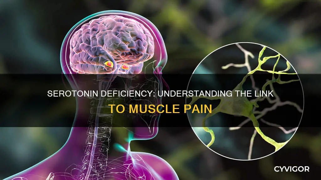 can low serotonin cause muscle pain