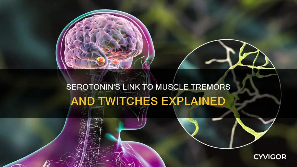 can low serotonin cause muscle tremmor or twiches
