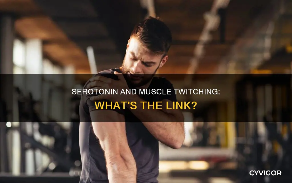 can low serotonin cause muscle twitching