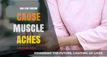Low Sodium and Muscle Aches: What's the Link?