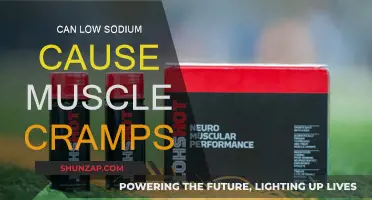 Low Sodium and Muscle Cramps: What's the Link?