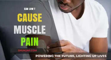 Low Testosterone and Muscle Pain: Is There a Link?