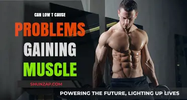 Low Testosterone: Muscle Gain Challenges