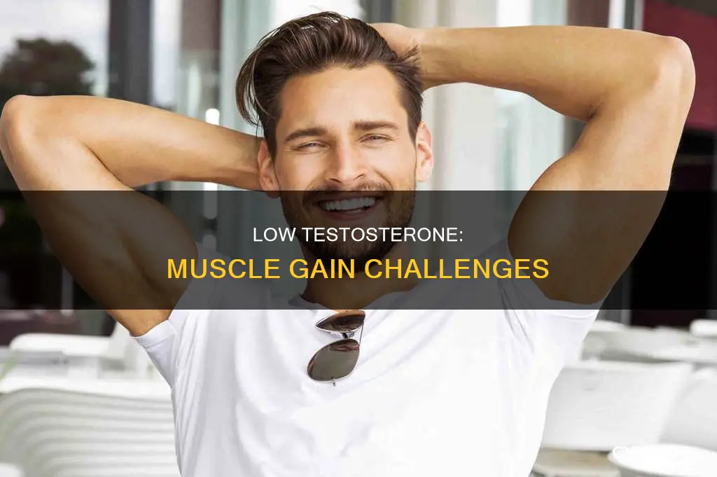 can low t cause problems gaining muscle