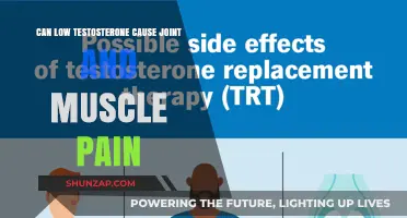 Testosterone Deficiency: Joint and Muscle Pain Connection