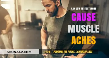 Testosterone and Muscle Aches: What's the Link?