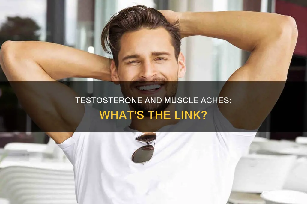 can low testosterone cause muscle aches