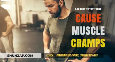 Testosterone and Muscle Cramps: Is There a Link?