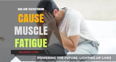 Testosterone and Muscle Fatigue: Is There a Link?