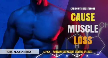 Testosterone and Muscle Loss: What's the Link?