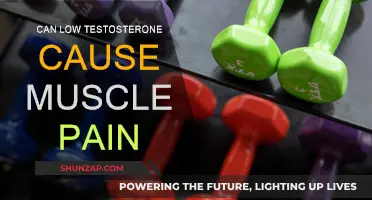 Testosterone and Muscle Pain: Is There a Link?