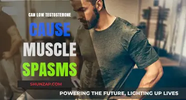 Testosterone and Muscle Spasms: Is There a Link?