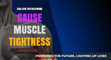 Testosterone's Link to Muscle Tightness and Body Pain